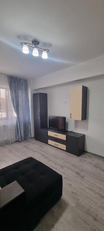 Apartament Mihaela Рымнику-Вылча Экстерьер фото